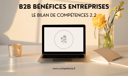 B2B bénéfices entreprises 2.2